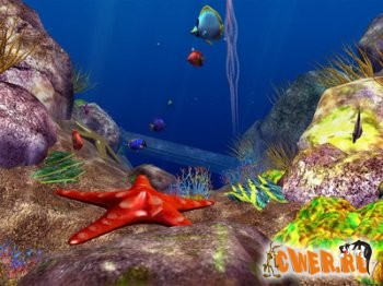 Ocean Fish 3D Screensaver 3.0