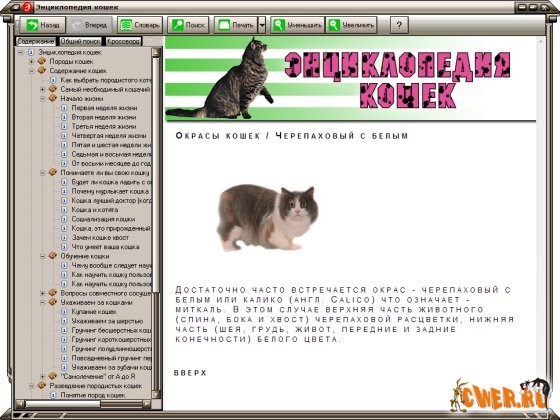 Энциклопедия кошек