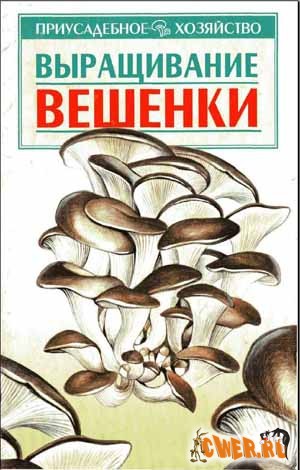 Выращивание вешенки