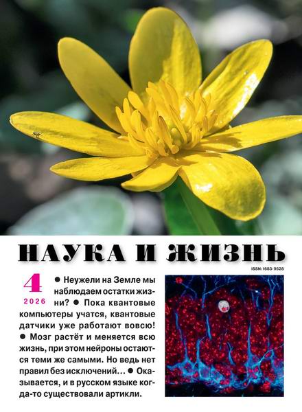 Наука и жизнь №4 апрель 2026