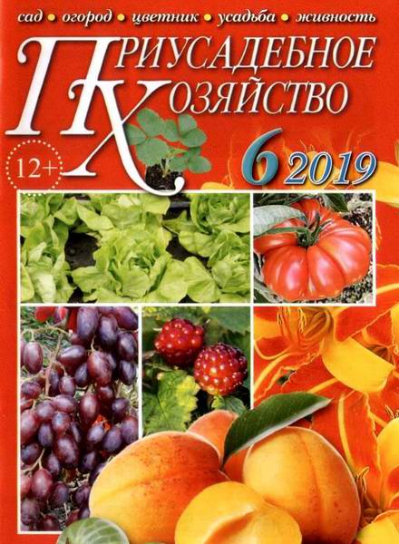 Приусадебное хозяйство №6 июнь 2019 + приложения Цветы в саду и дома Дачная кухня