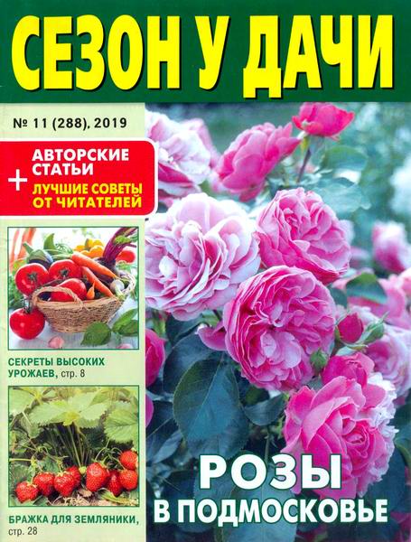 журнал газета Сезон у дачи №11 июнь 2019