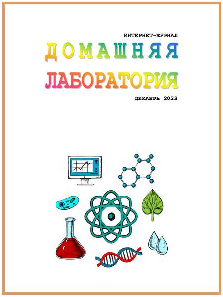 Домашняя лаборатория №12 декабрь 2023