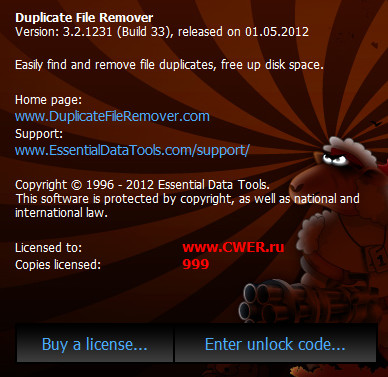 Duplicate File Remover