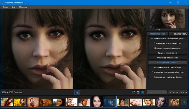 WidsMob Portrait Pro