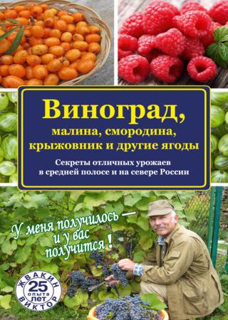 Виноград, малина, смородина, крыжовник и другие ягоды