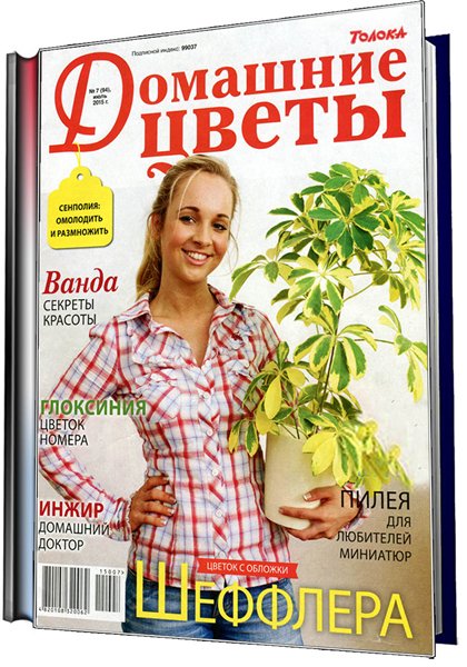 цветы