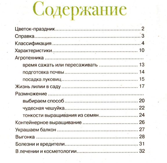 Цветок №14/С (июль 2012). Лилии в саду