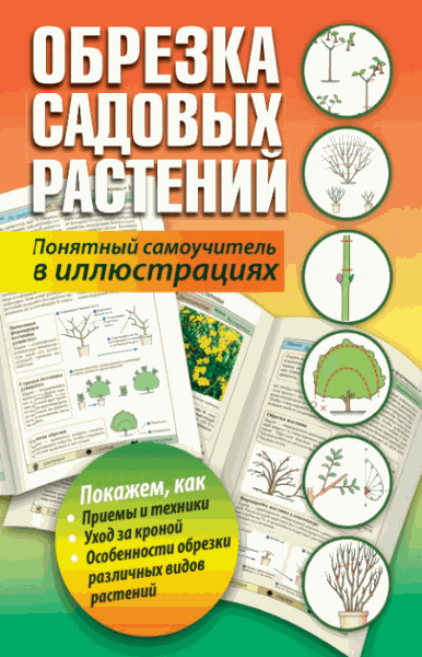 Т. Карпенко. Обрезка садовых растений. Понятный самоучитель в иллюстрациях