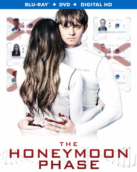 The Honeymoon Phase