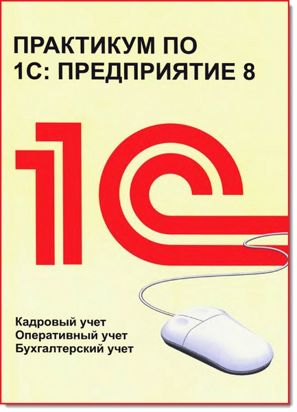 Практикум по 1С: Предприятие 8. Кадровый учет. Оперативный учет. Бухгалтерский учет