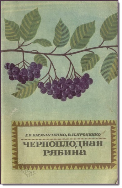 Г. В. Васильченко, В. И. Проценко. Черноплодная рябина