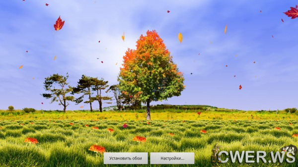 Autumn Trees Live Wallpaper