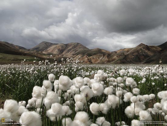 Stunning National Geographic Wallpapers