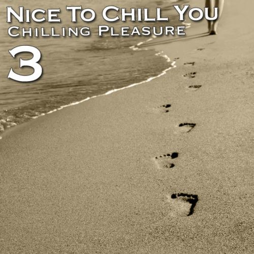 скачать Nice To Chill You 3 (2011)