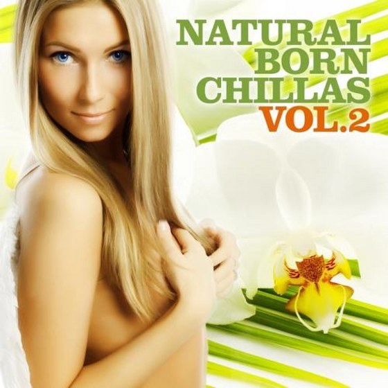 скачать Natural Born Chillas Vol. 2 (2011)