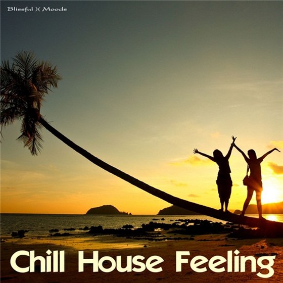 скачать Chill House Feeling (2011)