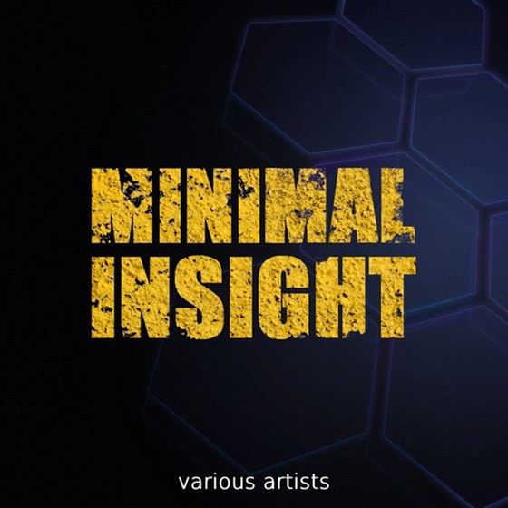 скачать Minimal Insight (2012)