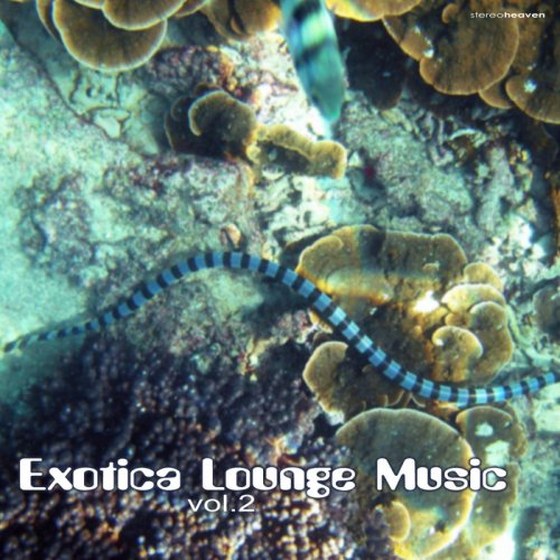 скачать Exotica Lounge Music Vol.2 (2011)