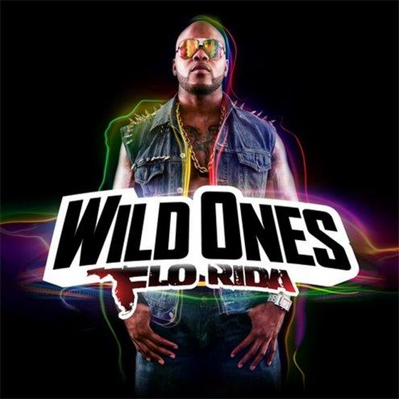 скачать Flo Rida. Wild Ones (2012)