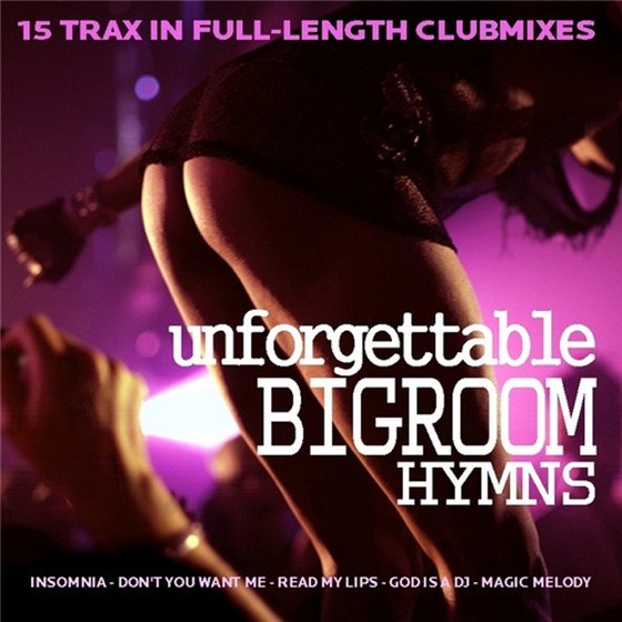 скачать Unforgettable Bigroom Hyms (2012)