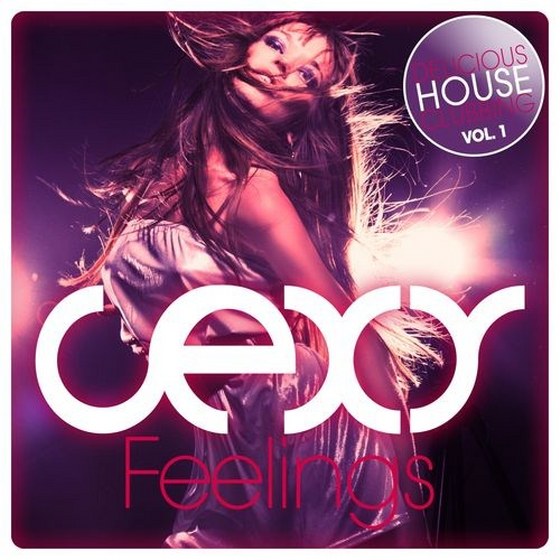 скачать Sexy Feelings Delicious House Clubbing Vol.1 (2012)