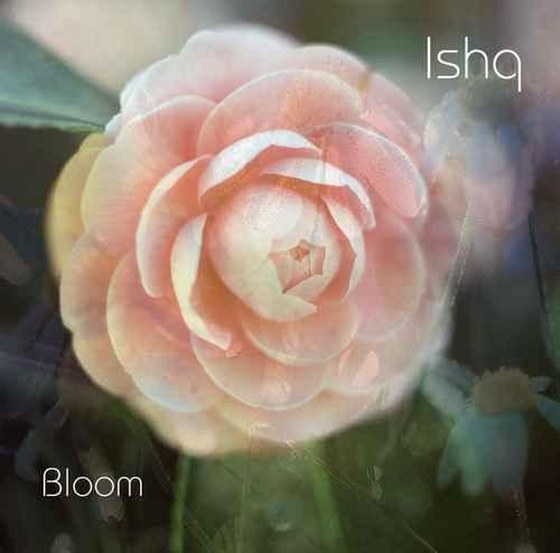 скачать Ishq. Bloom (2012)