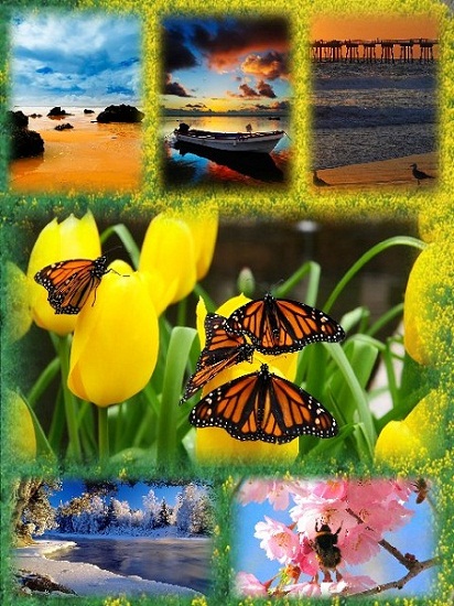 Best Nature Wallpapers Pack