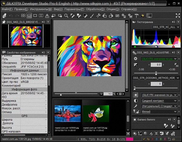 SILKYPIX Developer Studio Pro 6.0.20