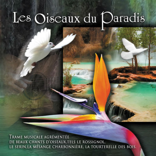 Les Oiseaux Du Paradis 