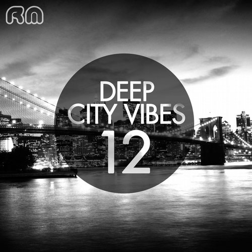 Deep City Vibes, Vol. 12