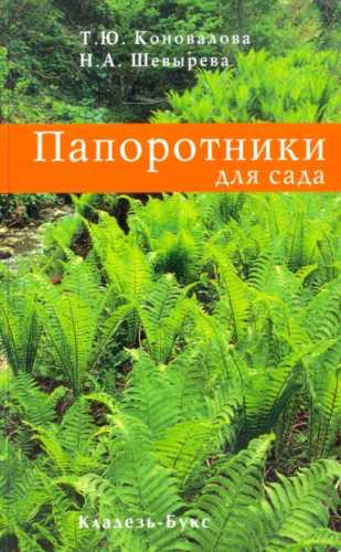 Папоротники для сада