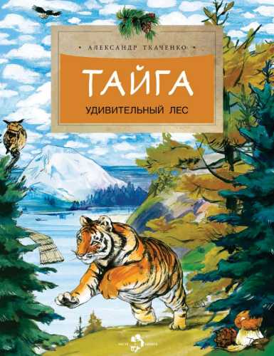 Тайга. Удивительный лес