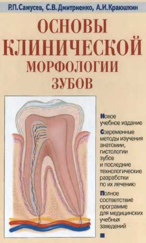 Основы клинической морфологии зубов