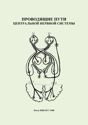 О.В. Калмин. Проводящие пути центральной нервной системы
