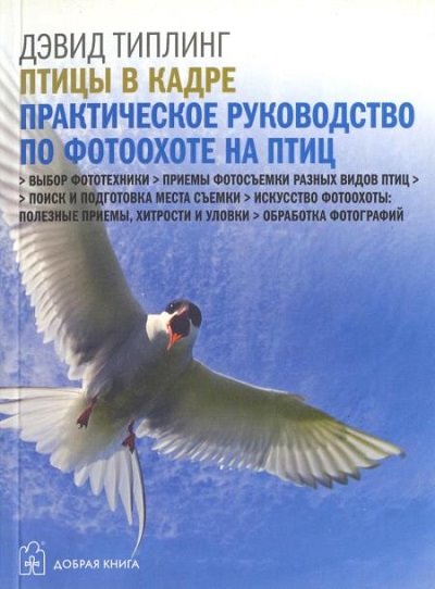 Дэвид Типлинг. Птицы в кадре. Практическое руководство по фотоохоте на птиц