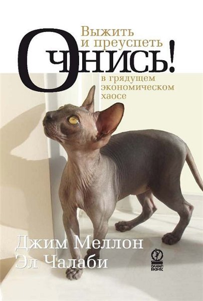 Джим Меллон. Очнись! Выжить и преуспеть в грядущем экономическом хаосе