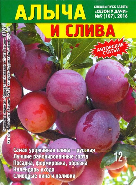 Сезон у дачи. Спецвыпуск №9 (июнь 2016). Алыча и слива