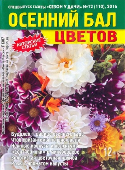 Сезон у дачи. Спецвыпуск №12 (август 2016). Осенний бал цветов