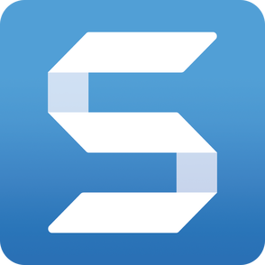 TechSmith Snagit 2022