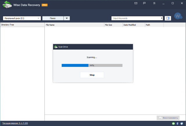 Wise Data Recovery Pro 5.1.7.335