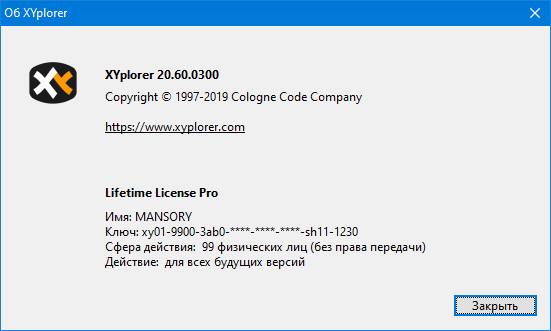 XYplorer Pro 20.60.0300 + Portable