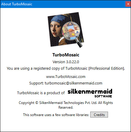 TurboMosaic 3.0.22.0 Professional Edition + Portable