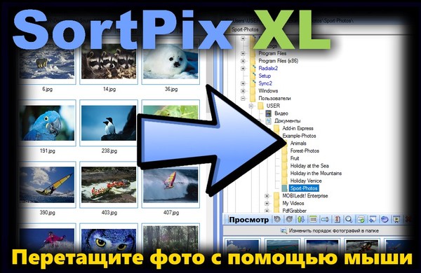 SortPix XL