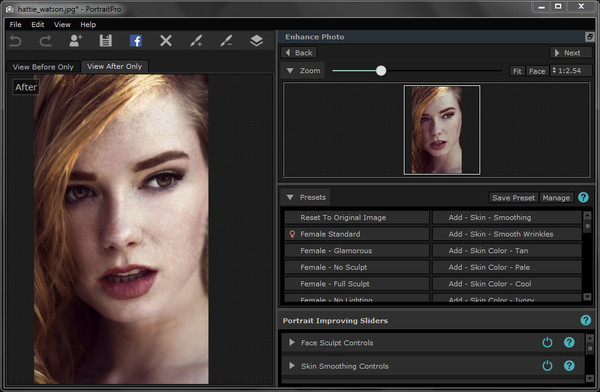 PortraitPro1