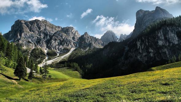 картинки, фото, природа, красота, лес, цвет, краски