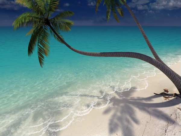 Sandy Beach 3D Screensaver