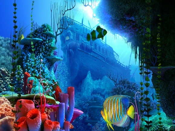 Coral Reef 3D Screensaver