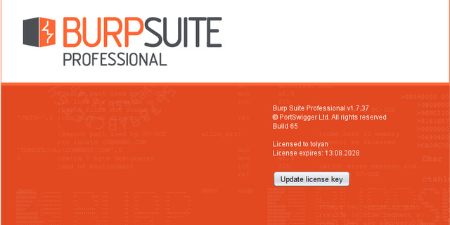 Burp Suite Professional