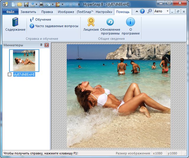 HyperSnap 8.13.00 + Portable